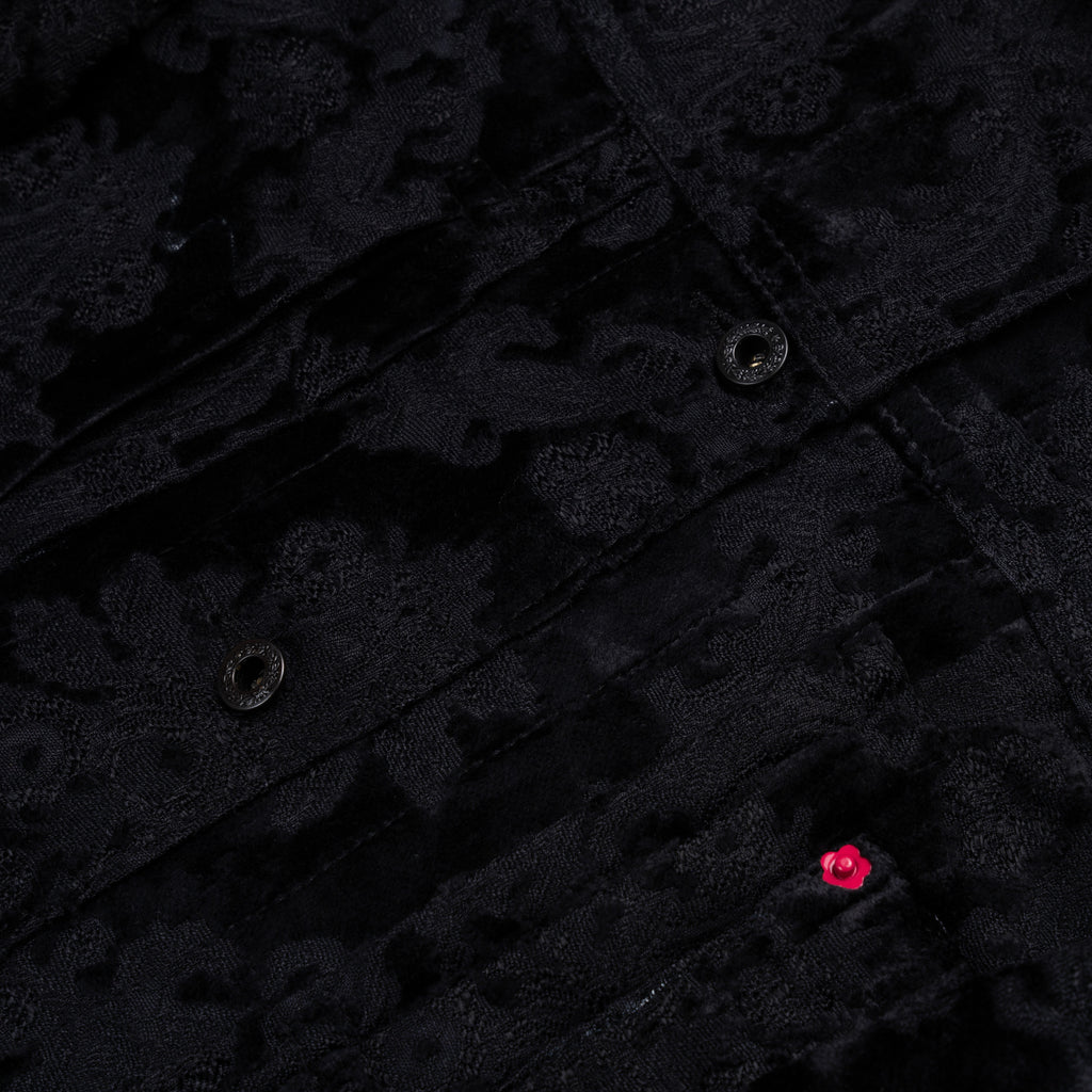 Emiria Jacket Mink Velvet - MATA CLOTHiER